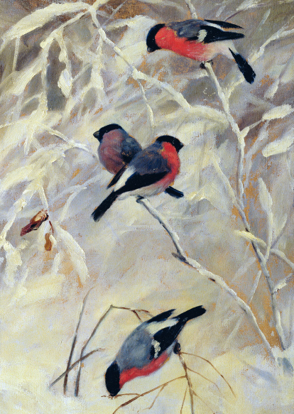 Kongsrud, Anders