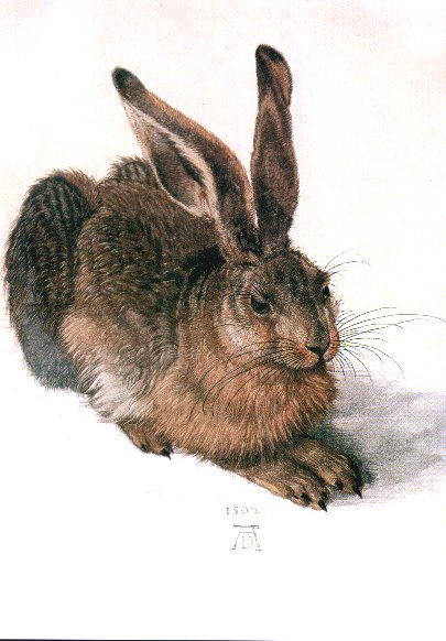 Dürer, Albrecht