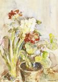 Blumenfenster